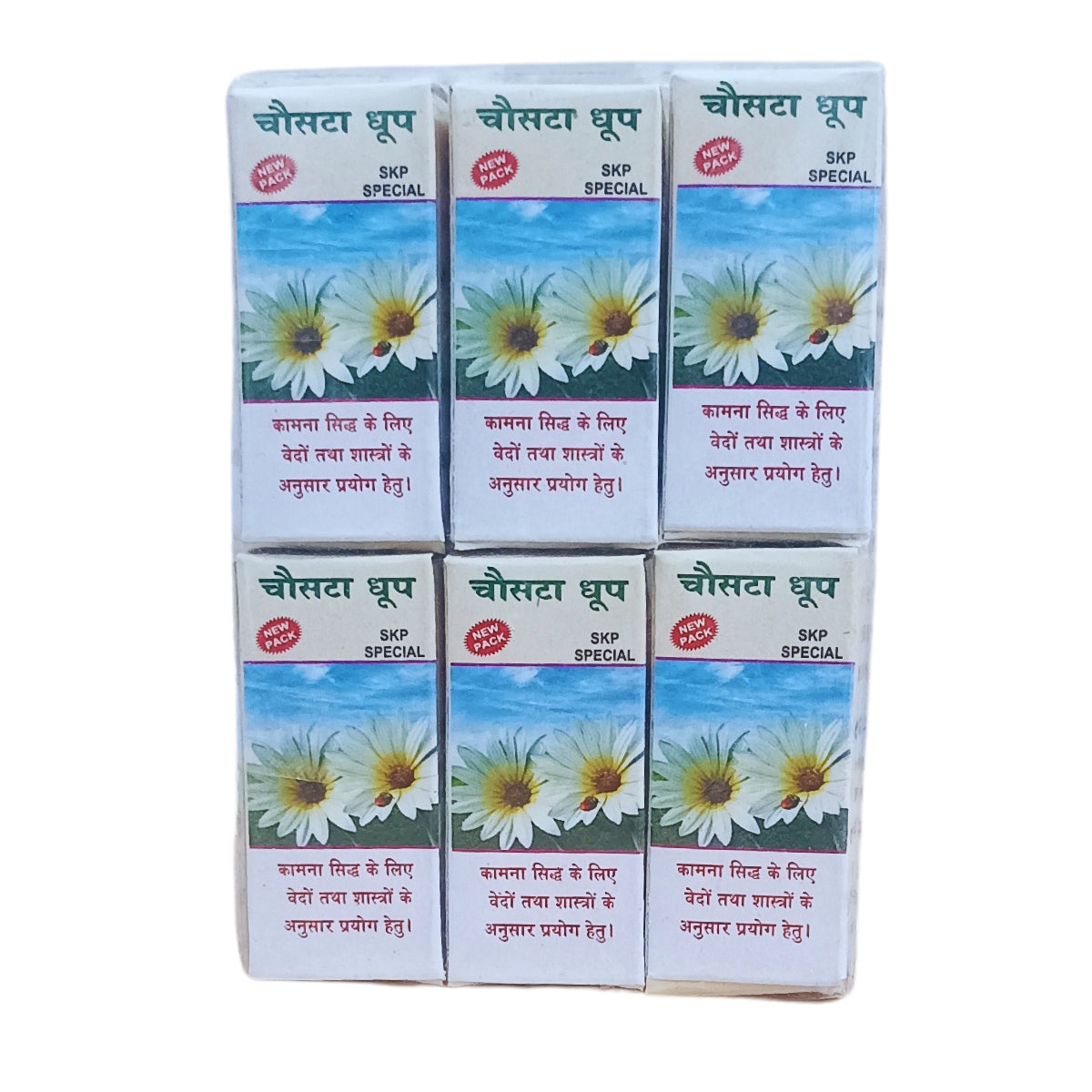 Chaustta Dhoop Cone-चौसटा धूप बत्ती-Dry Dhoop Cones for Pooja Natural Ingredients and Fragrance (Pack of 6)