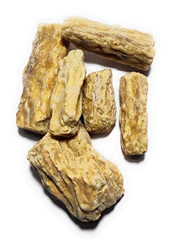 Damar Batu-Shorea Javanica-दमार बट्टू-Anthoshorea Javanica-Damar Gum-Dammar Gum-Raw Herbs-Jadi Booti