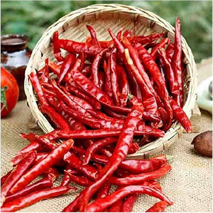 Dried Red Chilli -lal mirchi sabut-लाल मिर्च-Sukhi Lal Mirch-Spices-For Make Your Food Delicious and Healthy