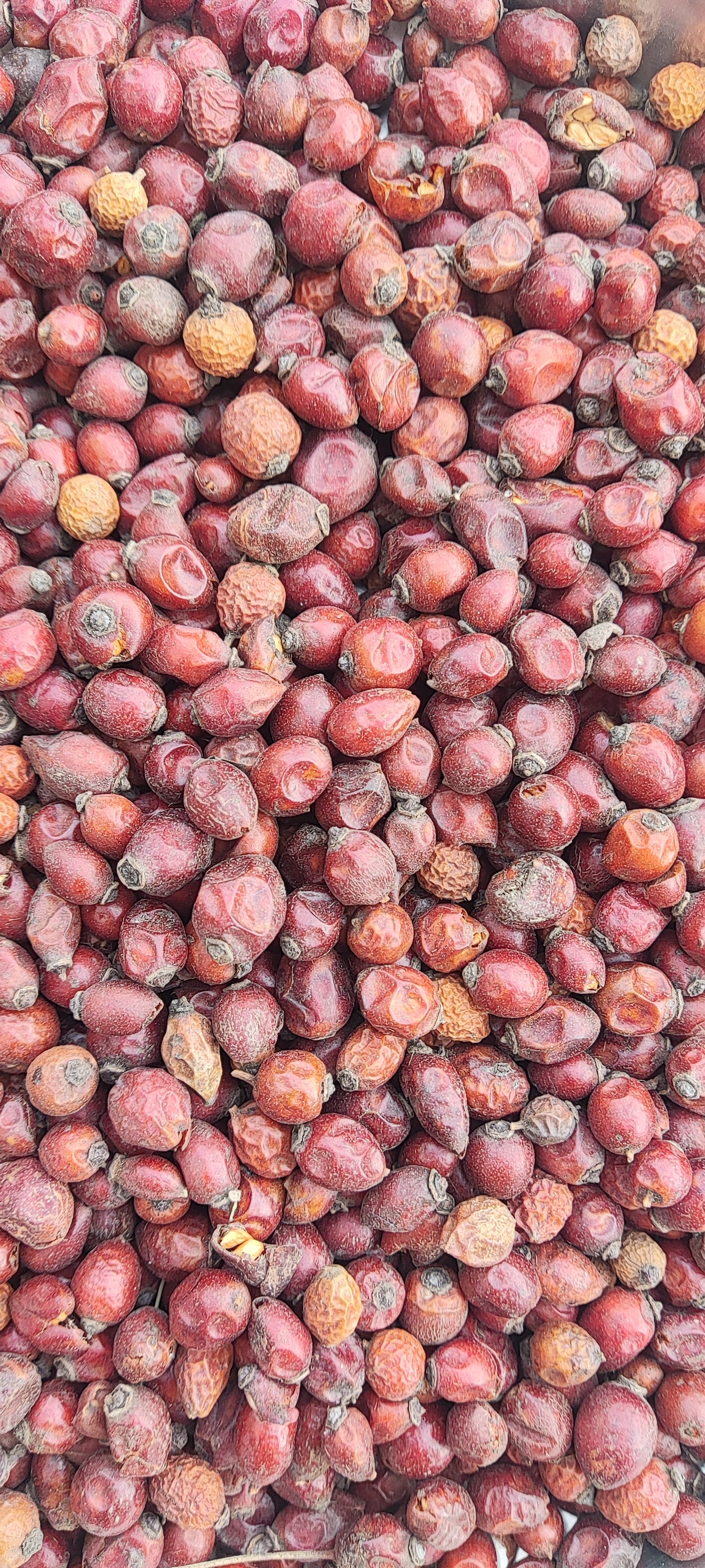 Dried Rosehip Fruit - Rose Hip - Rose Haw - Rose Hep - Rosa Canina - Rose Hips - Raw herbs - jadi booti - single herb