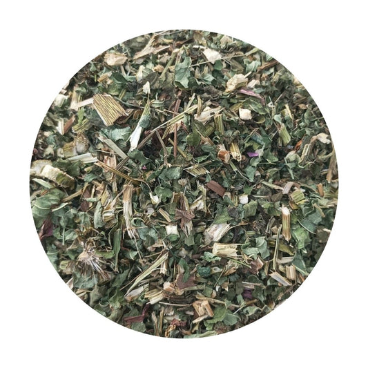 Echinacea Purpurea cutting form-Purple rudbeckia-Hedgehog coneflower-raw herb-jadi booti-single herb