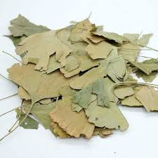 Ginkgo Biloba (Leaves)-Maidenhair Tree-Ginko Biloba-Raw Herbs-Jadi Booti-Single Herb