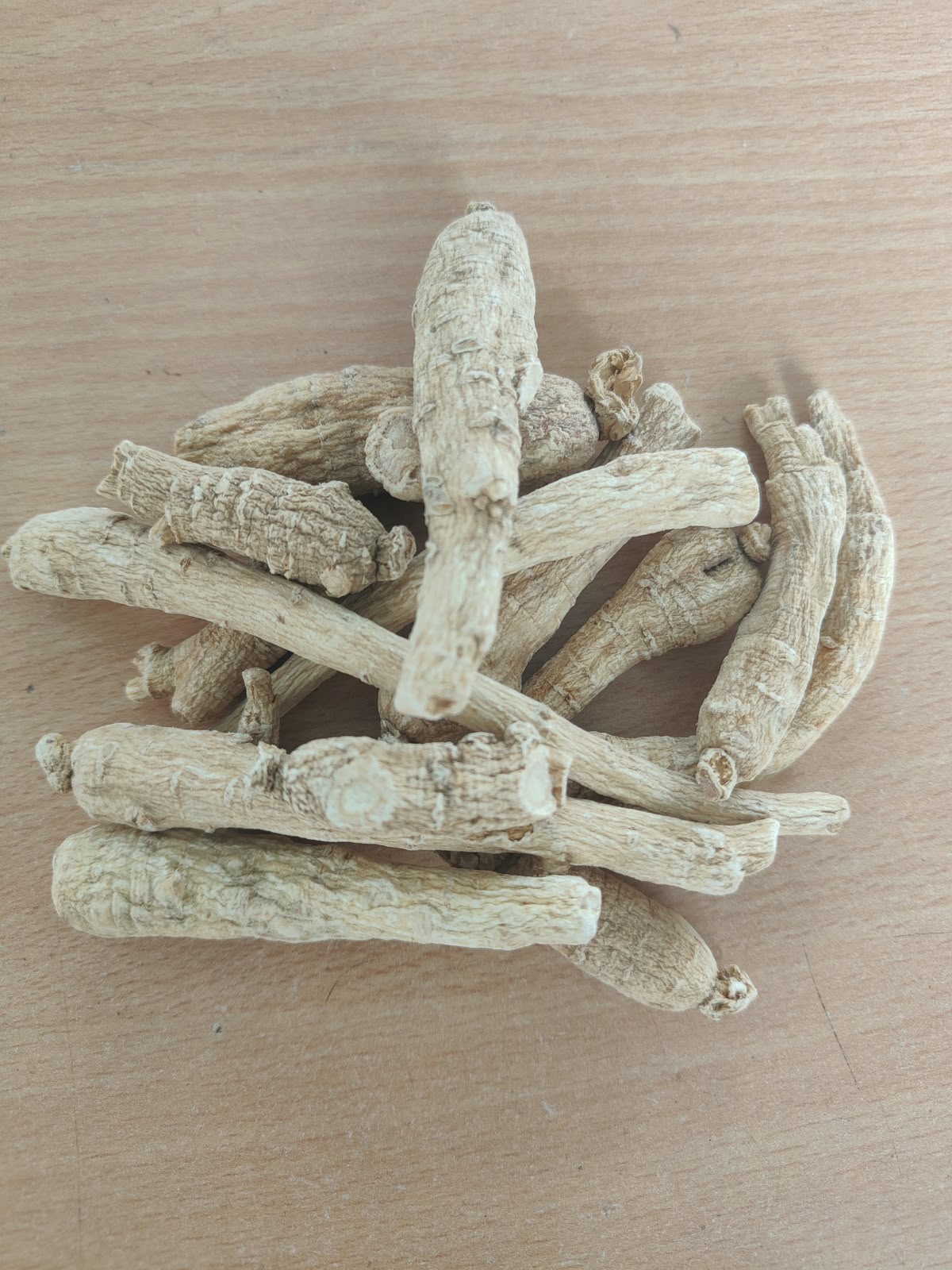 Ginseng Root – Panax Ginseng – Whole Dried Botanical Root – Traditional Asian Herb – Natural Plant Material