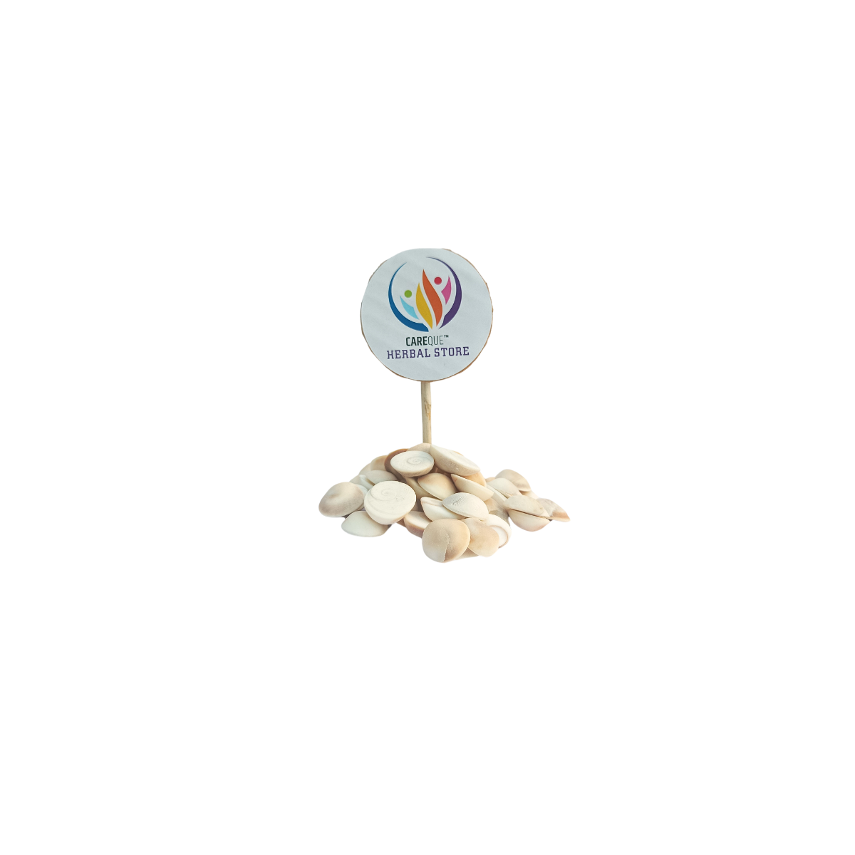 Gomati Chakra Big White Stone-Gomti Stone Bada -गोमती चक्र बड़ा-Original from Gomathi River Dwarka-Use For Pooja & Rituals, Brings Good Luck, Wealth & Happiness 1KG.