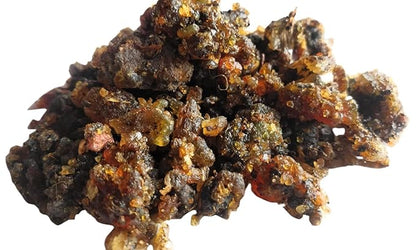 Guggal-Bdellio Indiano-गुग्गुल-Commiphora Mukul-Gugal Puro-Googal-Mahisakshi-Guggul-Gugul-Erbe Grezze-Jadi Booti-Erbe Singole