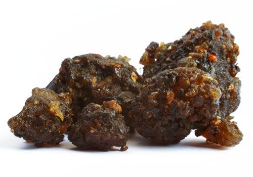 Guggal-Bdellio Indiano-गुग्गुल-Commiphora Mukul-Gugal Puro-Googal-Mahisakshi-Guggul-Gugul-Erbe Grezze-Jadi Booti-Erbe Singole