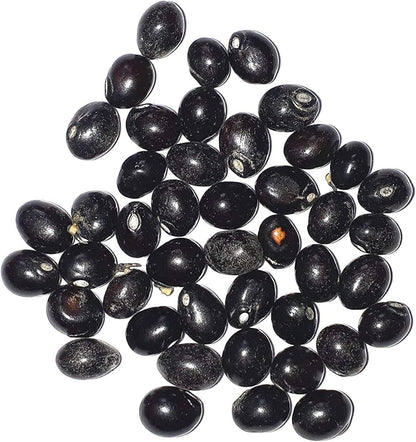 Gunja Black Seeds - Chirmati Kale Beej - Black Ratti - Abrus Precatorius - Raw herbs - Jadi BOOTI