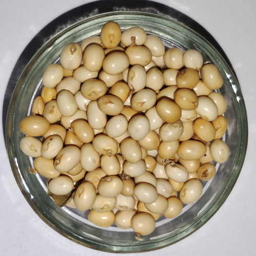 Gunja White Seeds - Chirmati Safed Beej - White Ratti - Abrus Precatorius - Raw herbs - Jadi booti - Single herb