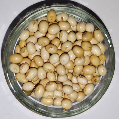 Gunja White Seeds - Chirmati Safed Beej - White Ratti - Abrus Precatorius - Raw herbs - Jadi booti - Single herb