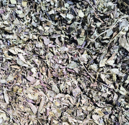 Hibiscus Leaves - Dried China Rose Leaves - Gudhal Patte - Dried Hibiscus Leaves - Mandharam Aaku