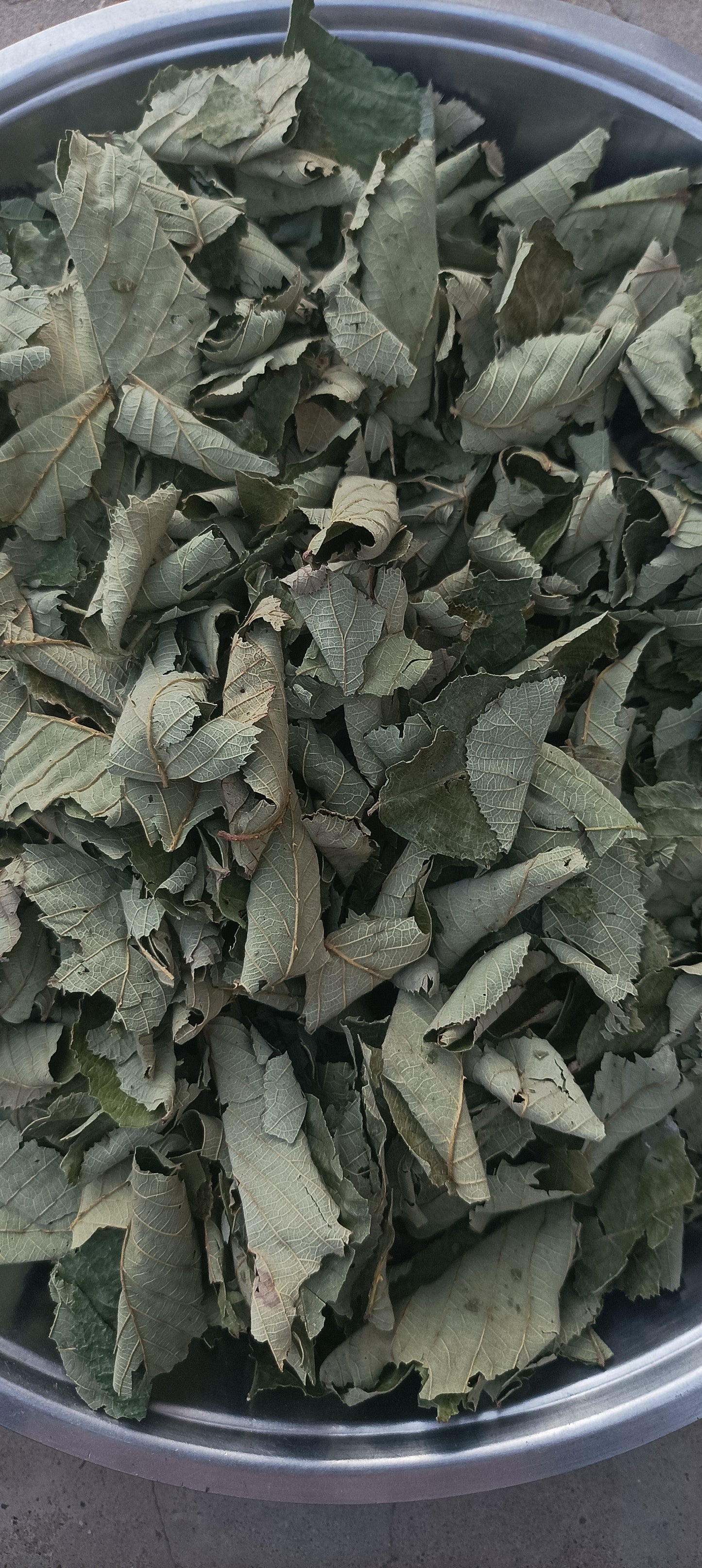 Himalayan Raspberry Leaves Dried-Hisalu-Hinsalu anchhu-raw herbs-jadi booti-single herbs