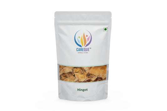 Hingot-Simple Throned-हिंगोट-Desert Date-Heglig-Ingudi-Balanites Roxburghi-Raw Herbs-Jadi Booti-Single Herbs