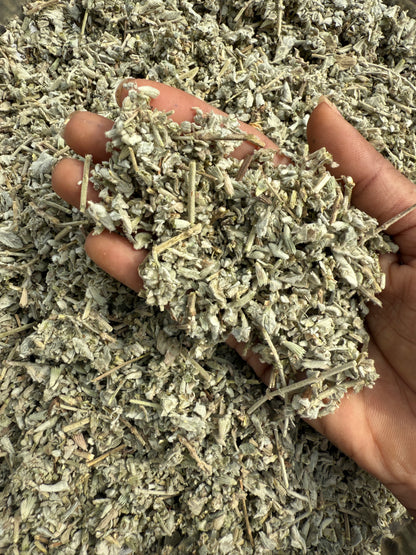 Marrube blanc – Feuilles entières séchées – Marrubium vulgare – Tisane naturelle