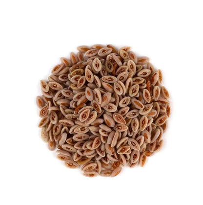 Isabgol Seeds Edible-Psyllium Seeds-इसबगोल बीज-Isab Gol Beej-Plantago ovata-Raw Herbs