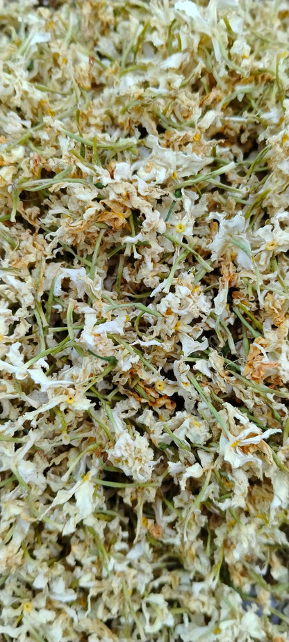 Dried Jasmine Petals | Chameli Ke Phool | Jasminum Grandiflorum | Fragrant Flower Petals | Herbal Blends, Crafts & Gifts