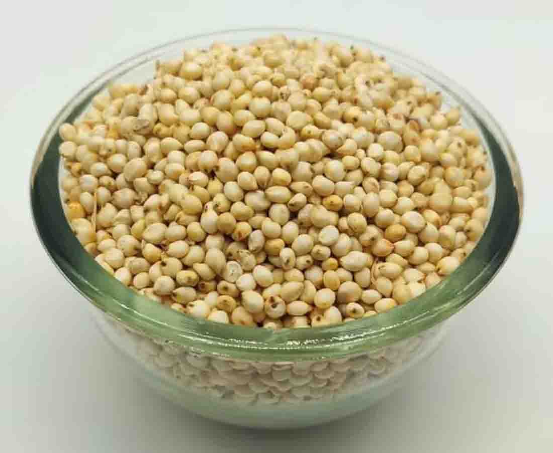 Jawar Whole-Sorghum-ज्वार पूरा-Jowar-Cholam-Jonna-Guinea Corn-Kaoliang-Jonnalu-Millets