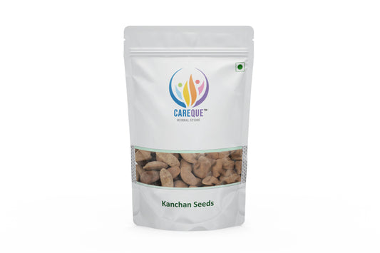 Kanchan Seeds-Beej Kanchan-Champak Seed-कंचन बीज-Michelia Champaca-Raw Herbs-Jadi Booti