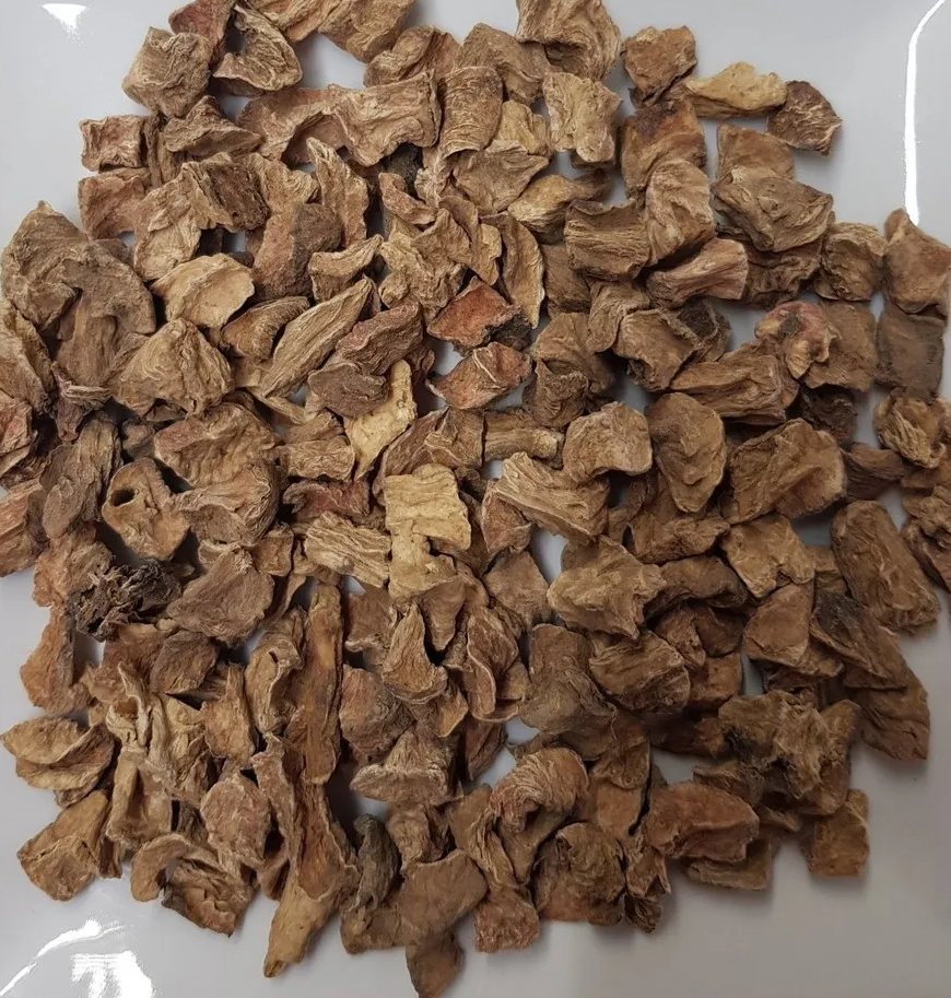 Kasni Jadd - Chicory Root - Cichorium intybus - Kasini - Raw herbs - Jadi Booti