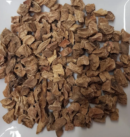 Kasni Jadd - Chicory Root - Cichorium intybus - Kasini - Raw herbs - Jadi Booti