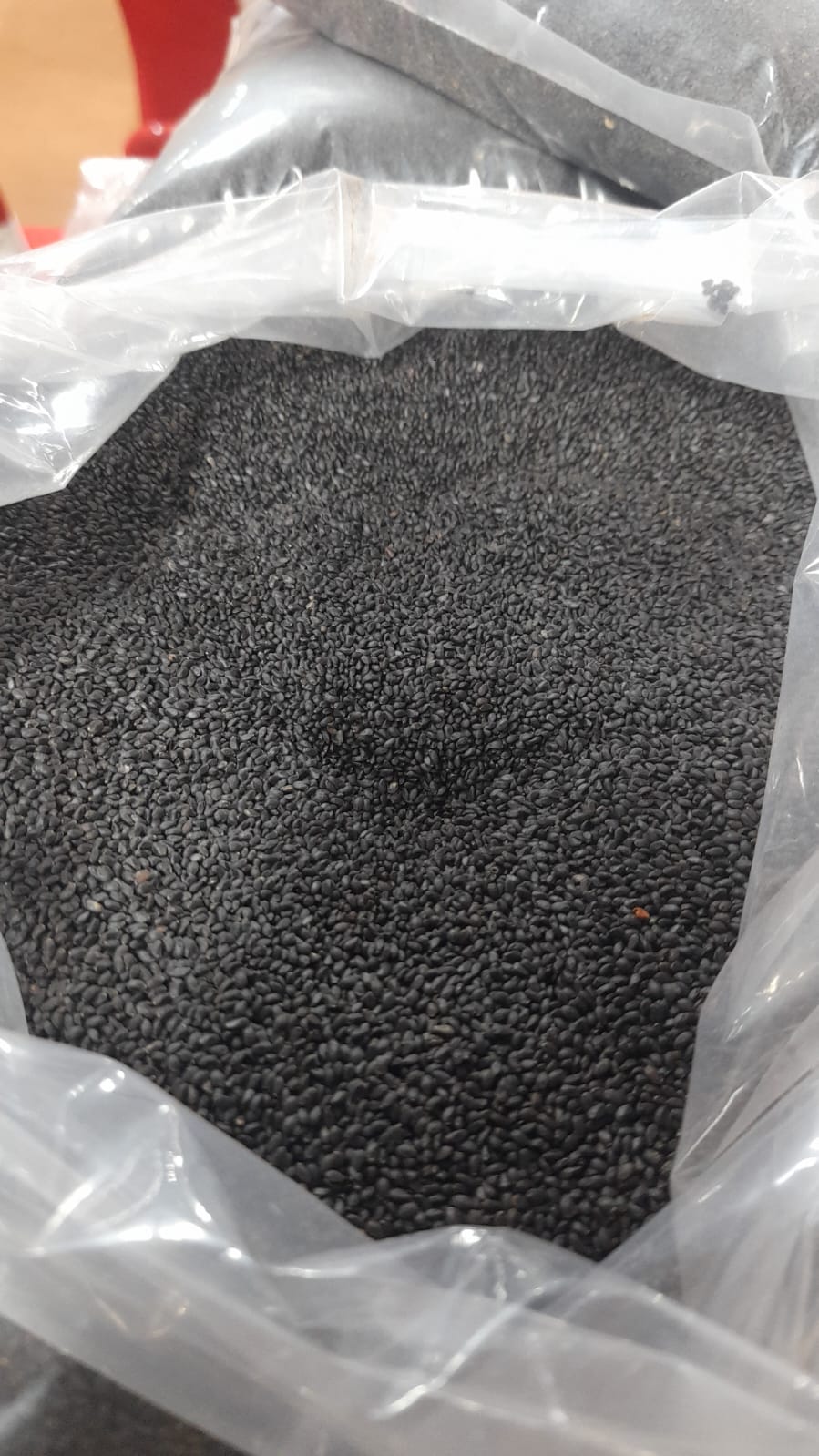 Krishna Tulsi (Black) Seeds-Shyama Seeds-For Home-Gardening-Planting