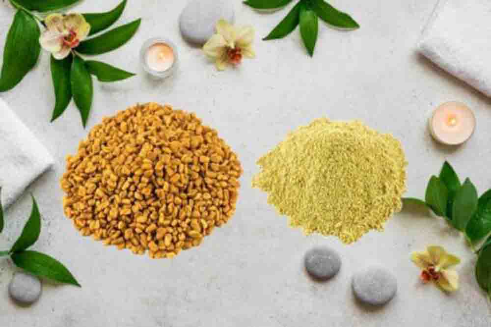 Methi Dana Powder-Fenugreek Powder-Methi Powder-Methika Powder Raw Herbs Quality Products at Unbeatable Wholesale Rate Price Bulk Purchase