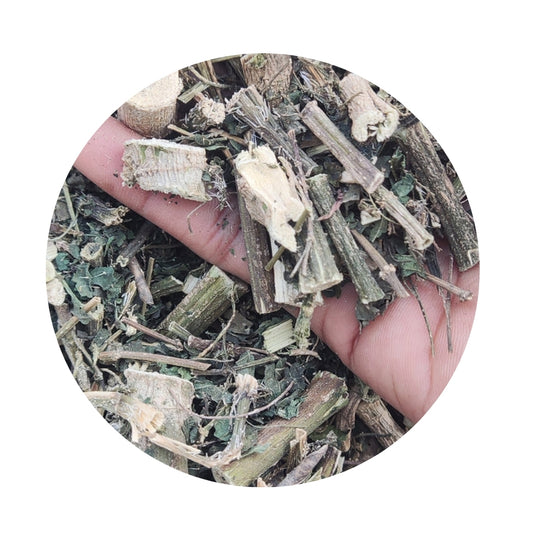 Nettle Dry Panchang-Urtica Dioica-Nettle-Radix-Burn Nettle-Stinging Nettle