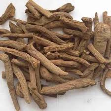 Nirgundi Root-Vitex Negundo Root-Dried Nishinda-Nirgundi-Samalu-Huang ping-Raw herb-Jadi booti-Single herb