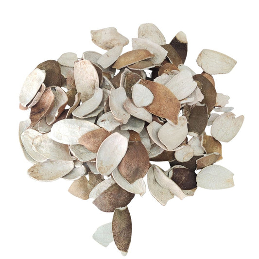 Orange Chilka-Orange Peel-नारंगी छिल्का-Santra Chilka-Santara Chilkha-Raw Herb-Jadi Booti-Single Herbs