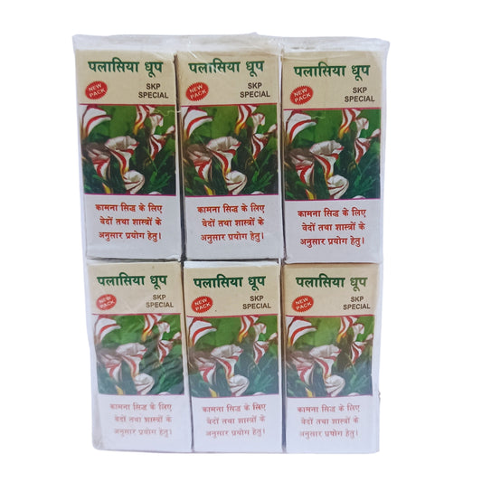 Palasiya Dhoop Cone-पलासिया धूपबत्ती-Dry Dhoop Cones for Pooja Natural Ingredients and Fragrance (Pack of 6)