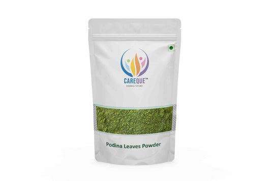 Podina Powder-Pudina Powder-पोदीना पाउडर-Mint Leaves Powder-Mentha Arvensis