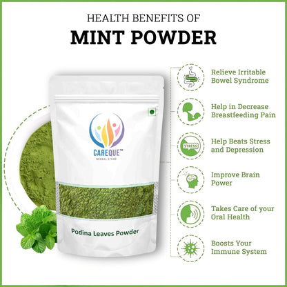 Podina Powder-Pudina Powder-पोदीना पाउडर-Mint Leaves Powder-Mentha Arvensis