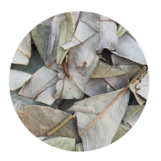 Rhododendron Leaves-azaleas-Raw herb-jadi booti-single herb