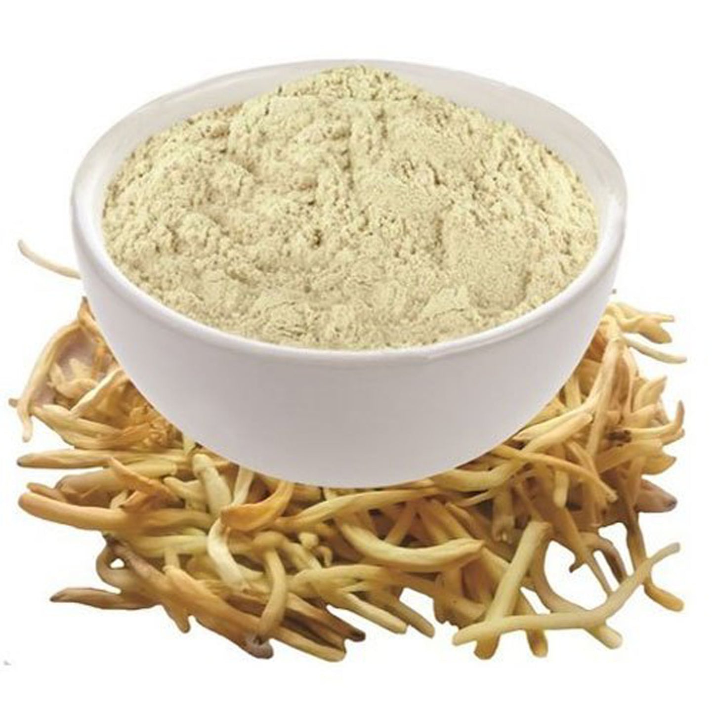 Musli Safed Powder-Chlorophytum Borivilianum-White Musli Powder-Shwet Muslie Powder Raw Herbs Quality Products at Unbeatable Wholesale Rate Price Bulk Purchase