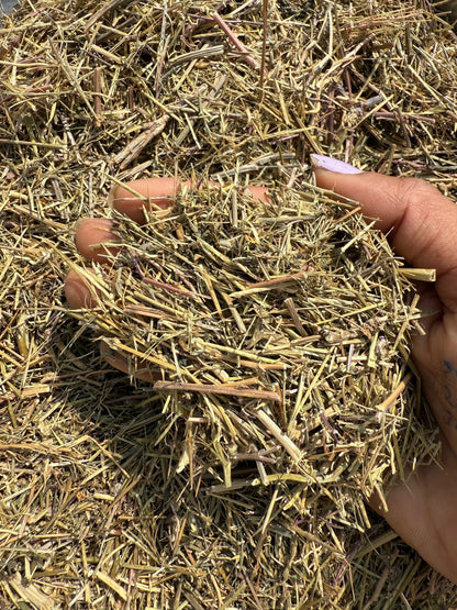 Shepherd’s Purse Herb | Raw & dried | Shephard's Herb Tea | Loose Leaf