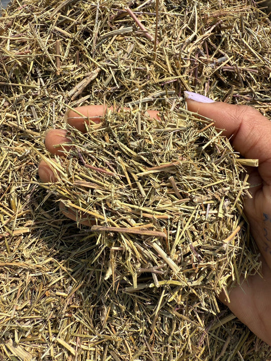 Shepherd’s Purse Herb | Raw & dried | Shephard's Herb Tea | Loose Leaf