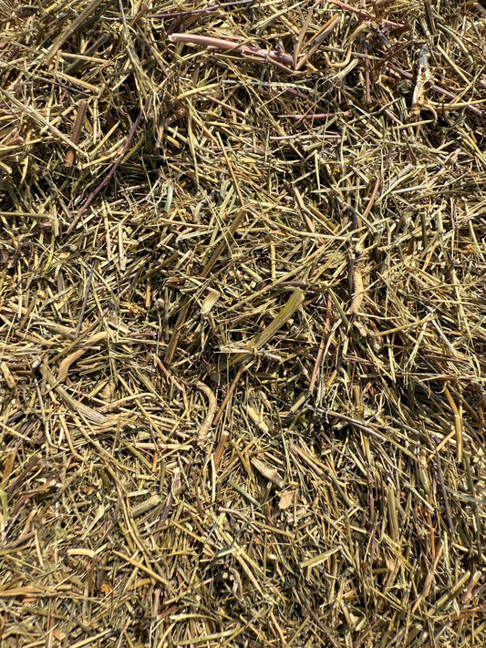 Shepherd’s Purse Herb | Raw & dried | Shephard's Herb Tea | Loose Leaf