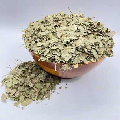 Graine de Luzerne cultivée-Medicago sativa-अल्फाल्फा बीज-Hedge Lucerne Seeds -Kuthirai Masal-Lucerne Ginjalu-Ashvabala