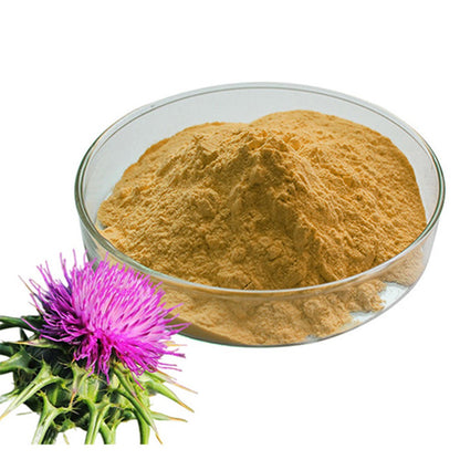 Silymarin 80% Extract-Milk Thistle-Silybum Marianum-Doodh Patra-Silybum-Herbal Extract Powder