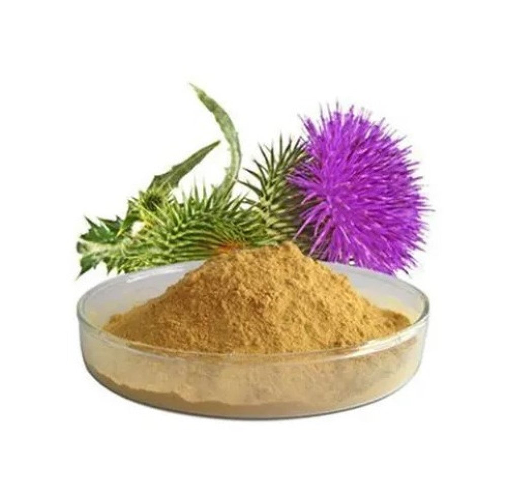 Silymarin 80% Extract-Milk Thistle-Silybum Marianum-Doodh Patra-Silybum-Herbal Extract Powder