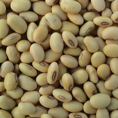 Soya Bean Seeds-Soya Seeds-SoySeeds-सोयाबीन बीज-GroceryMake Your Food Tasty, Delicious and Healthy