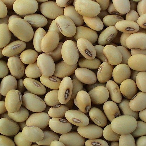 Soya Bean Seeds-Soya Seeds-SoySeeds-सोयाबीन बीज-GroceryMake Your Food Tasty, Delicious and Healthy