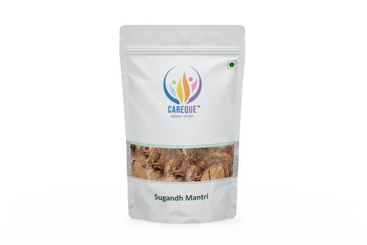 Sugandh Mantri-Gandhi Roots-सुगंध मंत्री गांधी जड़-Homalomena Aromatica-Raw Herbs-Jadi Booti dried