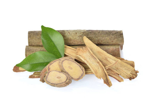 Tongkat Ali-Longjack-Tung Saw-Eurycoma Longifolia-Pasak Bumi-Raw Herbs-Jadi booti-Single herb