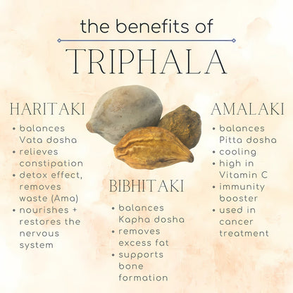 Triphala-Amalaki-Haritaki-Bibhitaki-त्रिफला-Raw Herbs-Jadi Booti Dried