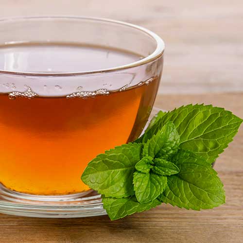 Tulsi Green Tea – A Soothing Blend of Wellness and Refreshment