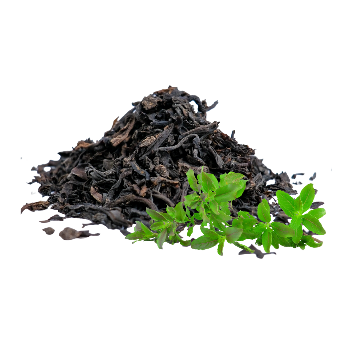 Green Tea Leaves | Loose Leaf Green Tea for Herbal Tea & Natural Infusion - 50 Gram
