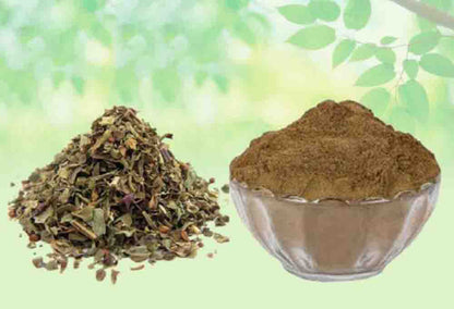 Tulsi Patta Powder-Ocimum Sanctum-Basil Leaf Powder-Basil Leaves Powder Raw Herbs Quality Products at Unbeatable Wholesale Rate Price Bulk Purchase