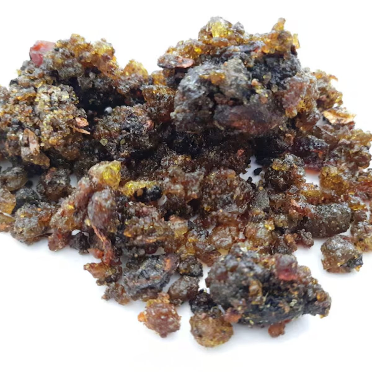 Guggal-Bdellium indien-गुग्गुल-Commiphora Mukul-Gugal Pur-Googal-Mahisakshi-Guggul-Gugul-Herbes Brutes-Jadi Booti-Herbes Simples
