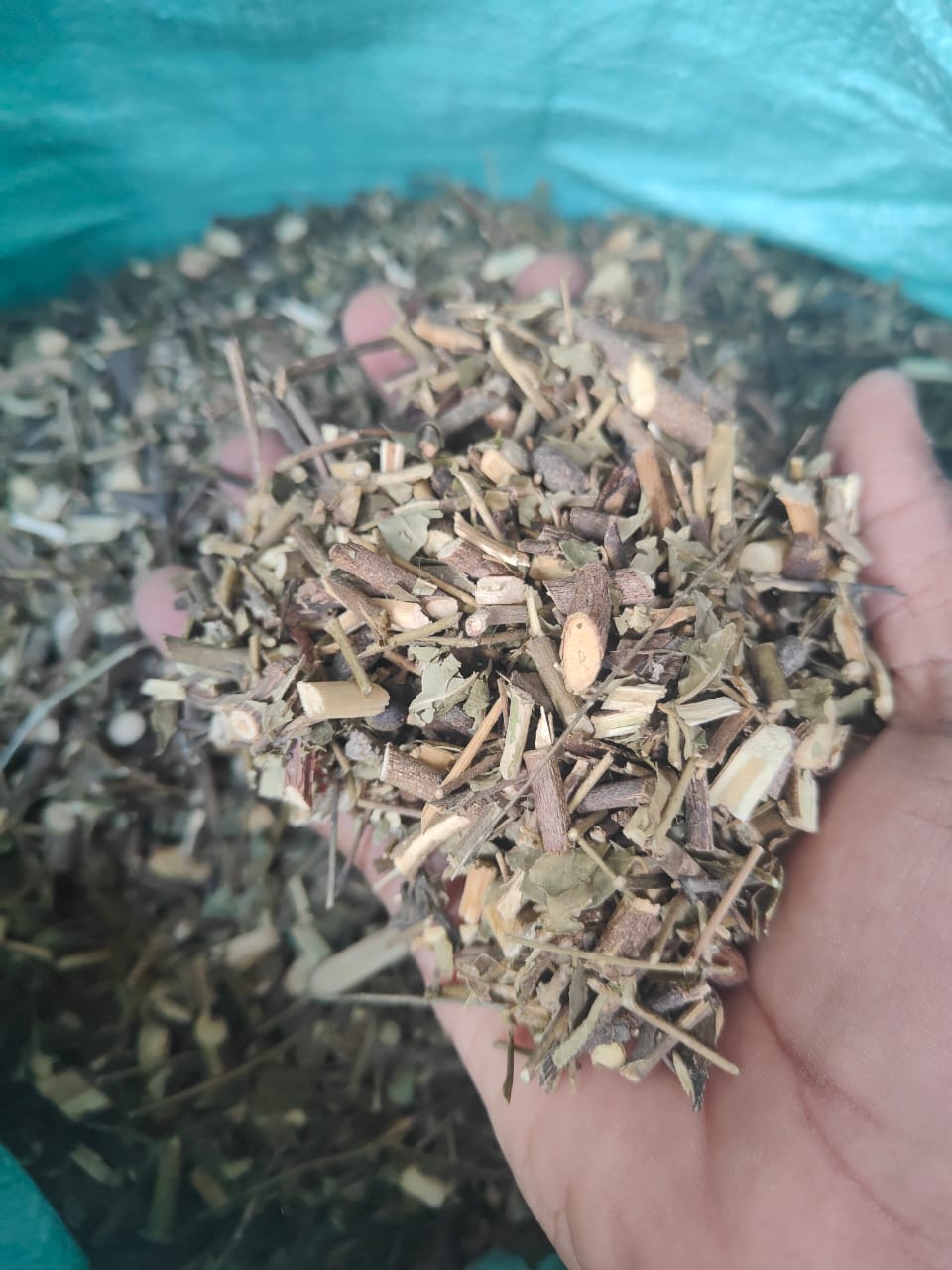 Careque Hibiscus Panchang – Dried Gudhal Plant Parts | Natural Hibiscus Leaves, Flowers, Stems & Roots