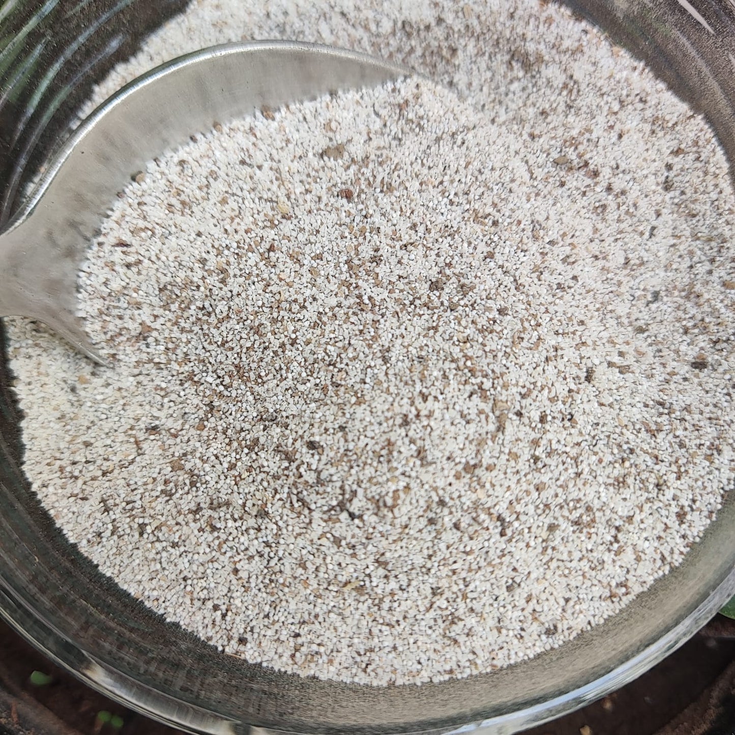 Kirmali-Rubia Tinctoria-किरमाली-Raw Herbs-Husne Yusuf-Hazar Dana-Jadi Booti-Single Herbs